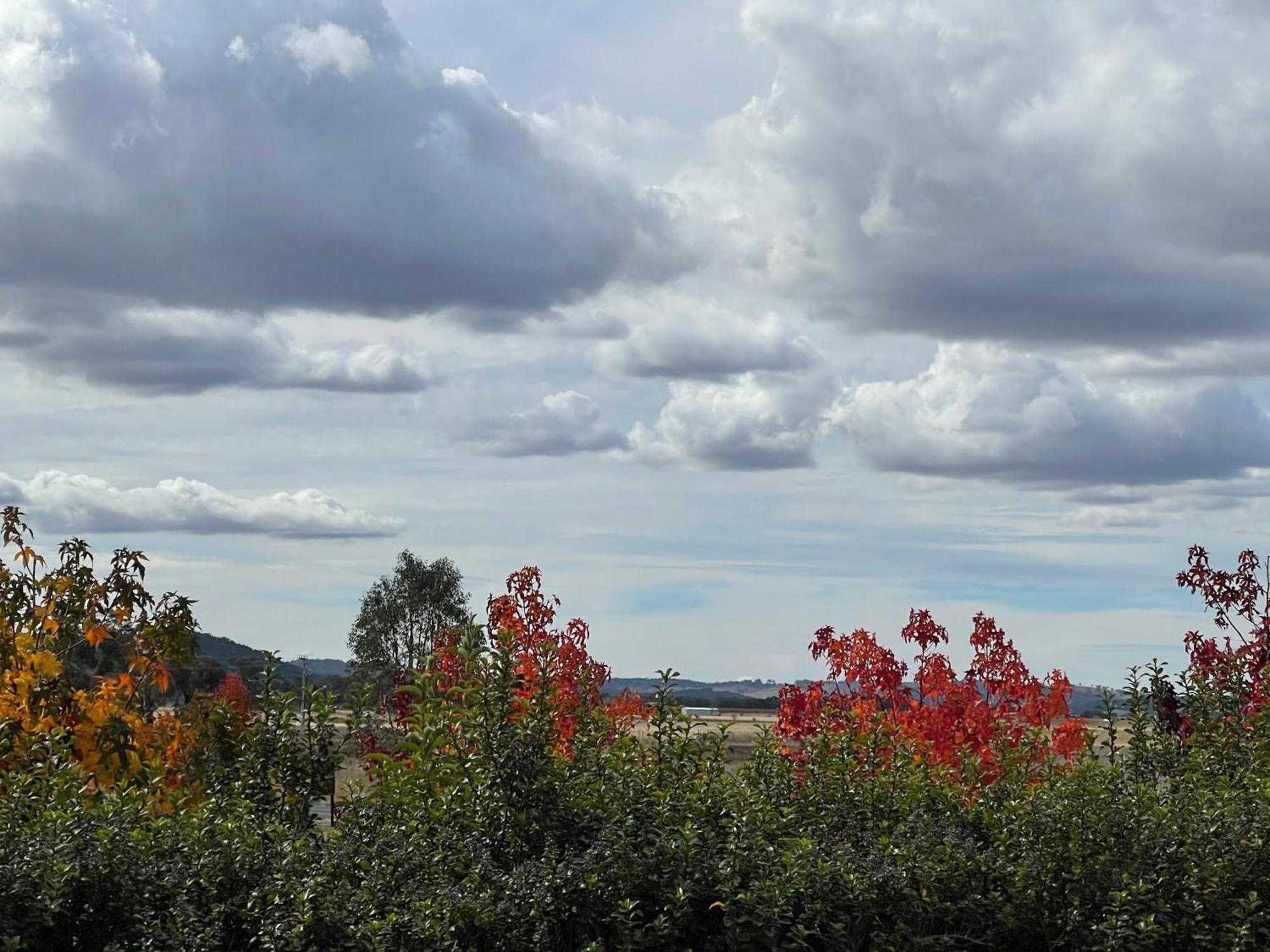 Mudgee Guesthouse Buitenkant foto